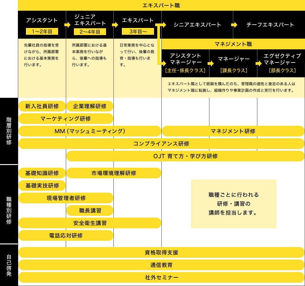 育成研修プログラム 制度 環境 株式会社マッシュ 採用サイト